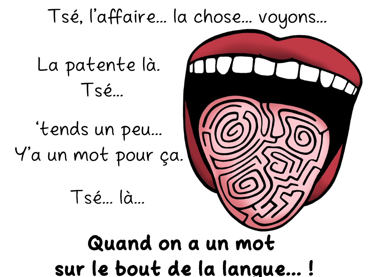 L&rsquo;accès lexical